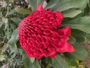 百合が原公園+ウォーキング
