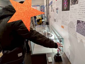 🌸外出プログラムを実施しました🌸