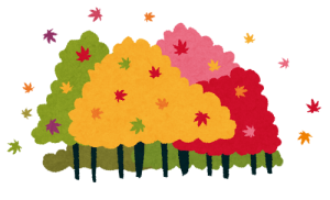 紅葉ウォーキング開催しました♪